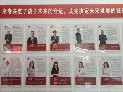 十年本土深耕，差异化服务凸显 大鲲锦途成为四川升学规划领域的标杆